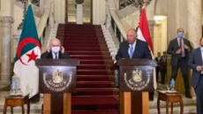 Egypt, Algeria FMs assert strong cooperation ties between two countries, discuss Libya