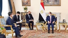Egypt's President Abdel Fattah El Sisi hailed on Tuesday modern and integrated infrastructure in Egypt, which he said provides a strong basis for enhancing development cooperation with international partners.