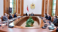 Sisi urges efficient use of water resources nationwide
