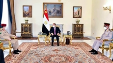 Egypt's Sisi affirms backing political solution in Yemen