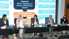 Egypt launches national consultations with WBG for climate action