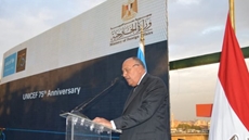 Egypt keen on boosting ties with African states 