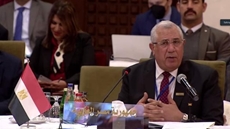Egypt has adopted many initiatives to achieve food security: Minister