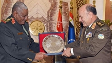 Egypt's and Sudan's chiefs of staff review military cooperation in Cairo