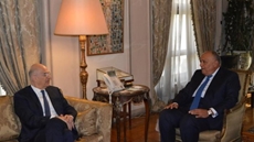 Egyptian, Greek FMs review cooperation in sectors of natural gas, electricity linkage