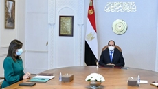 Sisi directs to expand scope of educational programmes for Egyptian expats