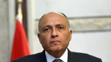 Egypt’s FM to meet Blinken in Washington to discuss int’l issues