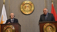 Egyptian, Cypriot FMs: We continue consultations on regional issues, East Mediterranean Gas Forum