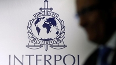 Egypt to notify Interpol to issue red notice against 6 members of Muslim Brotherhood