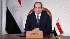 Egyptian president urges African states to take quick, effective steps to counter food crisis ensued from global tensions