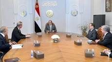 Egypt's Sisi voices support to US Chevron Corporation activities in Egypt