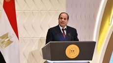 Egypt's Sisi orders gov't to depend on local components in implementing ‘Haya Karima’ projects