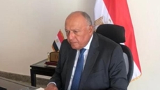 Egypt's FM hails India's contributions in climate change negotiations