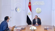 Egyptian President Abdel Fattah El Sisi directed the government launch of promotional programs for industrial investment, database governance and automation, said Presidential Spokesperson Bassam Rady in a statement on Monday.