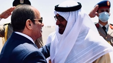 Egypt's Sisi to take part in Abu Dhabi Summit held to discuss int'l and regional security