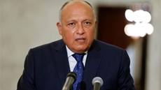 Egypt’s FM holds meeting with UN envoy for Syria