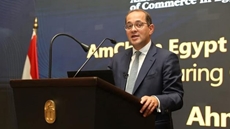 Egypt's Minister of Finance Ahmed Kouchouk.
