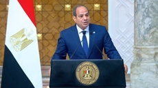 Egyptian President Abdel Fattah El-Sisi during press conference with Vietnamese counterpart 