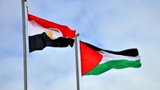 Egyptian and Palestinian flags - file

