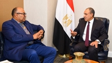 Egypt and Tanzania discuss Nile Basin cooperation, the NBI’s inclusiveness and growing bilateral ties, including the Julius Nyerere Hydropower Project.