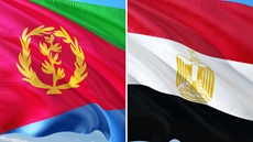 Egyptian Foreign Minister Badr Abdelatty and Eritrean Foreign Minister Osman Saleh discuss bilateral cooperation and regional developments during a phone call.