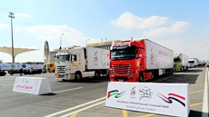 Egypt's Tahya Misr Fund prepares to dispatch humanitarian aid convoys to the Gaza Strip as part of efforts to support Palestinian families ahead of winter.